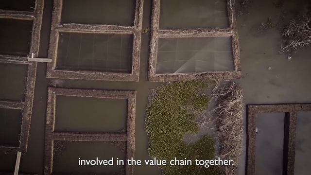 USAID MARKETS II: Feeding the Future смотреть онлайн