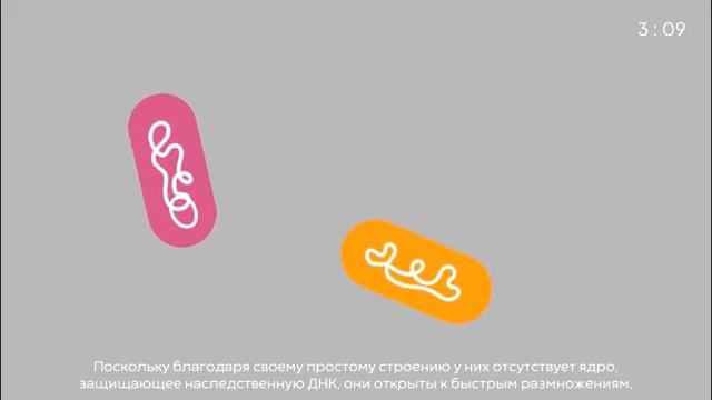 Бактерии повсюду! | Эстонский музей здравоохранения смотреть онлайн