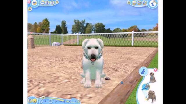 Petz Dogz 2 PC 2007 Gameplay смотреть онлайн