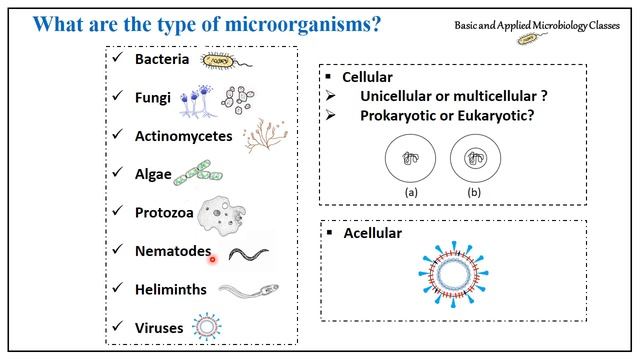 Introduction To Microbiology |