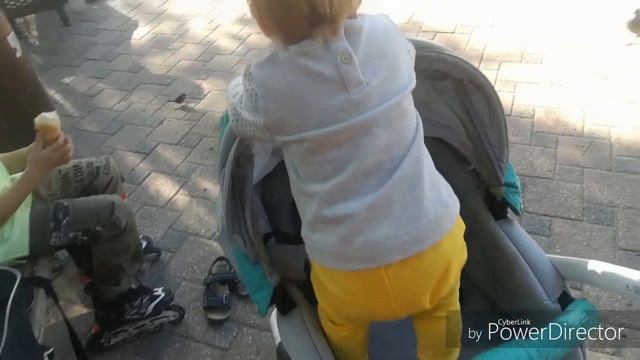 САЛАТ ИЗ ФУНЧЕЗЫ/РЫЖИК ПОДСТРИГСЯ/ГУЛЯЕМ В ПАРКЕ/МУЖ СТРИЖЕТ ГАЗОН/ЯБЛОНЯ РАЗВВЛИВАЕТСЯ ОТ УРОЖАЯ смотреть онлайн