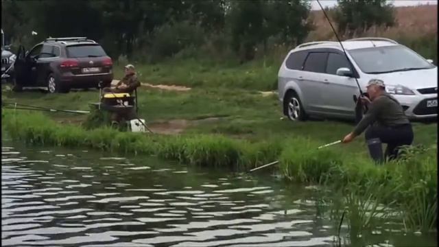 Клевое Место д. Савельево. Зарыбление карпом 3 и 4 сектор смотреть онлайн