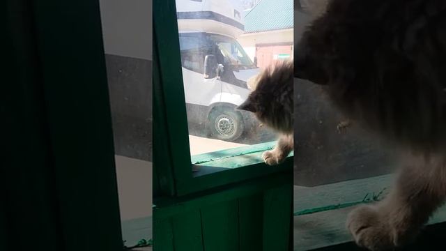 Как надо ловить мух смотреть онлайн