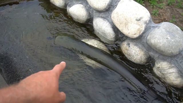 Форель не перестаёт удивлять. Минус одна белуга смотреть онлайн