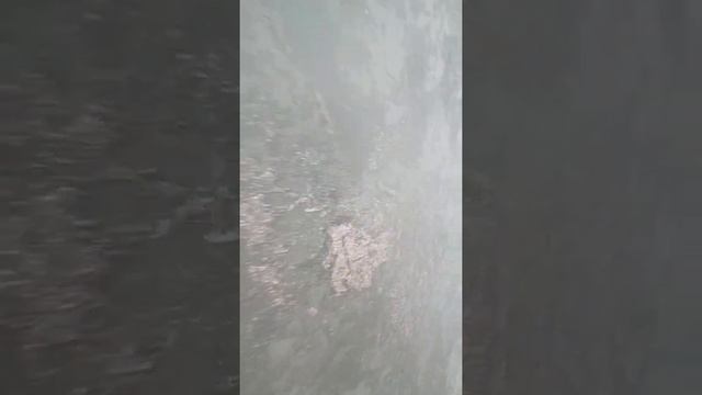 #рекомендации #ремонт #ремонтквартир #ремонтсвоимируками #обои #дверидлядома #дом #дома смотреть онлайн