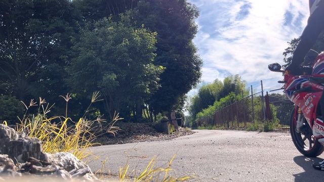 HONDA CBR250RR MC51 Exhaust [SCORPION RP-1 GP＋SP忠男 POWER BOX] смотреть онлайн