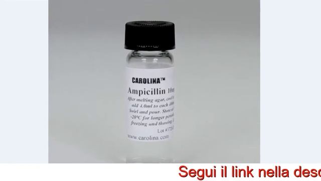 Ampicillin Sulbactam - Ampicillina Compresse - Ampicillin Capsules Ip - Ampicillin Dosage