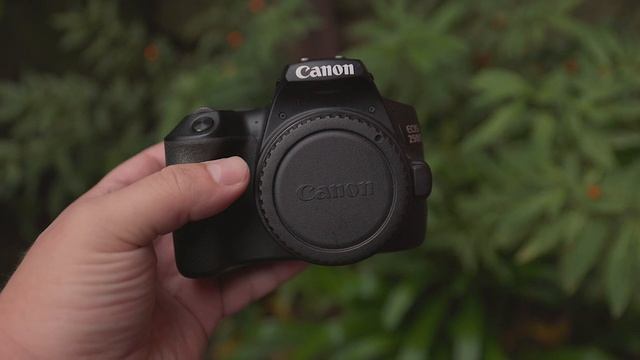 Which? Canon 250D (SL3) vs Canon 77D | Canon EOS DSLR Comparison and Review смотреть онлайн