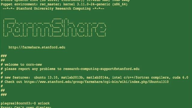X Forwarding Demo смотреть онлайн