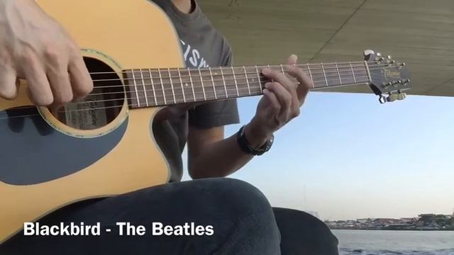Blackbird - The Beatles - Cover Fingerstyle Guitar ( live & noise ) смотреть онлайн
