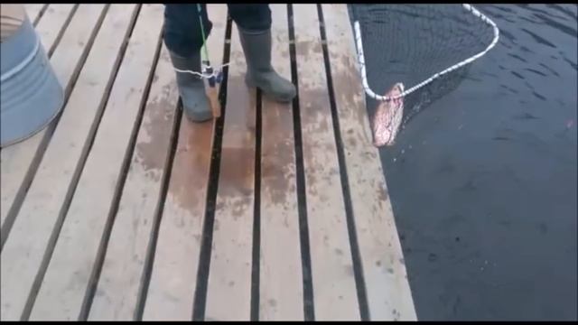 Рыбалка в Подмосковье и Москве(зимняя,летняя) смотреть онлайн