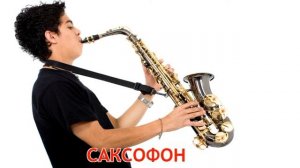 Учим Домики, Профессии, Музыкальные инструменты, Инструменты