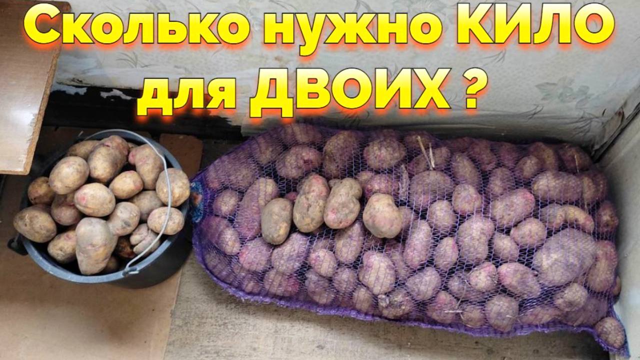 Сколько картошки нужно на зиму для двоих ? смотреть онлайн