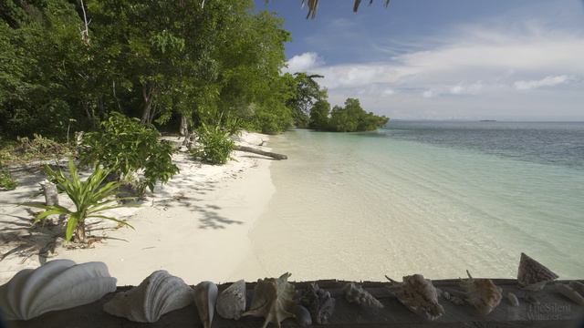 4K HDR Tropical Beach View - Relaxing Ocean Wave Sounds - Balcony Vista - Ultra смотреть онлайн