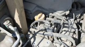 Замена ремня грм на РЕНО клио 1,4 2008