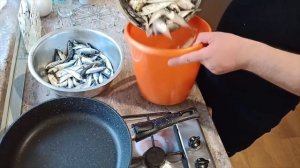 Ставрида ловля и приготовление.РЫБАЛКА на ЛОДКЕ в Черном море.
