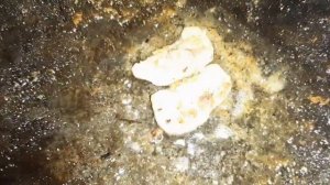 #РЫБАЛКА В #АСТРАХАНСКАЯ ОБЛ. С.#ПИРОГОВКА РЕКА #АХТУБА