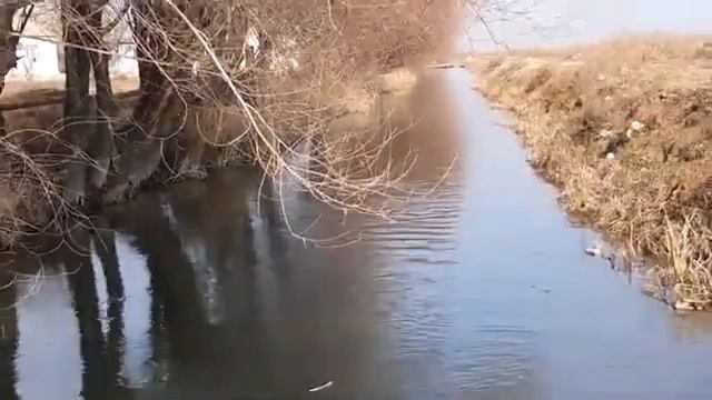 turk kino смотреть онлайн