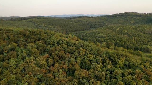 Красивая расслабляющая музыка 🌿 Остановись, снятие стресса, музыка, музыка #2 смотреть онлайн
