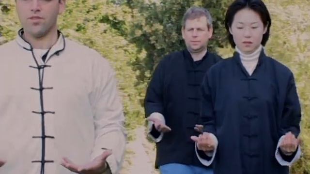 Part 2 of 27 Tai Chi Gong Energy Patterns with Master Gad Levy-Golan смотреть онлайн