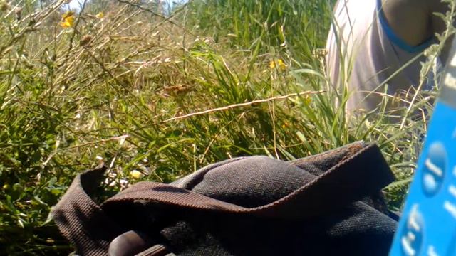 ВЛОГ: КУПАНИЕ. РЫБАЛКА В КАНАВЕ смотреть онлайн