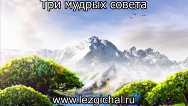 три мудрых совета смотреть онлайн
