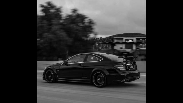 SALUKI 104  ANIKV БИЛИК - Лавэ