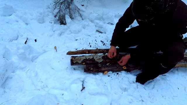 ВЫЖИВАНИЕ VS ПРОЖИВАНИЕ | ХРОНИКИ ЗИМНЕГО ЛЕСА смотреть онлайн
