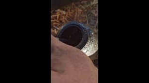 Обслуживание системы вкг ауди а4 1.8