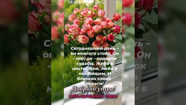 Красивого Доброго утра 🥰Будьте счастливы и любимы🥰Божьего благословения🙏❤ смотреть онлайн