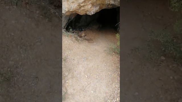 скоро видео про пещеру смотреть онлайн