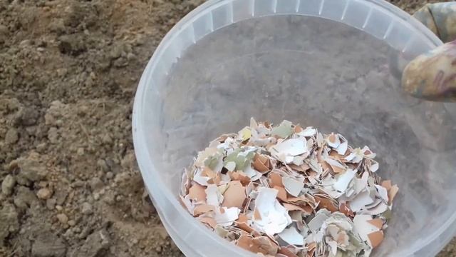 Как сажать лук севок в глинистую почву смотреть онлайн