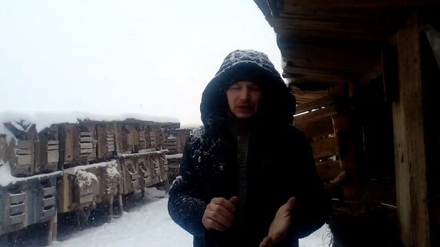 ЛПХ КАК ИСТОЧНИК ОСНОВНОГО ДОХОДА смотреть онлайн