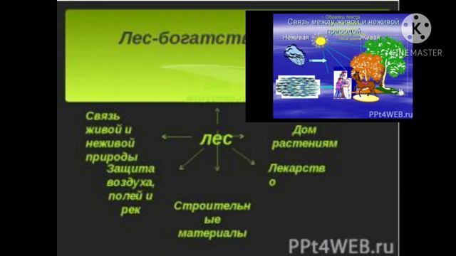 Проект:мир глазами эколога. смотреть онлайн