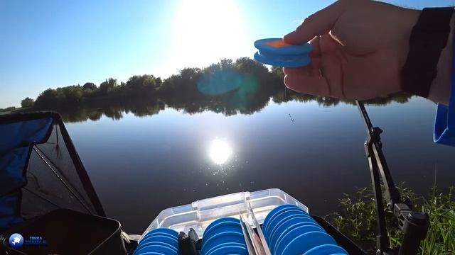 МОЩНЫЕ ПОКЛЕВКИ ГОЛАВЛЯ И ЛЕЩА НА ФИДЕР! Наконец-то на ДНЕПРЕ начался клев!