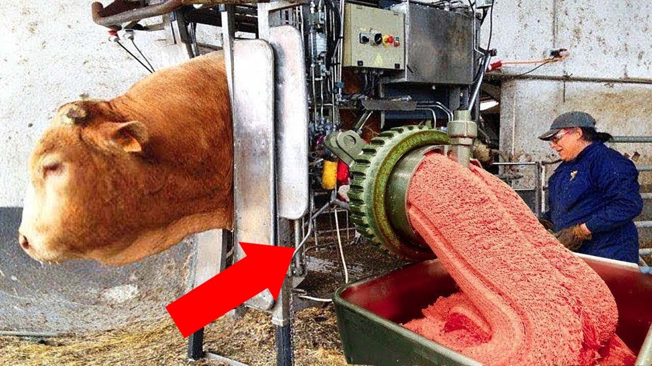 Производство, от Которого у Вас Пойдут Мурашки по Коже смотреть онлайн