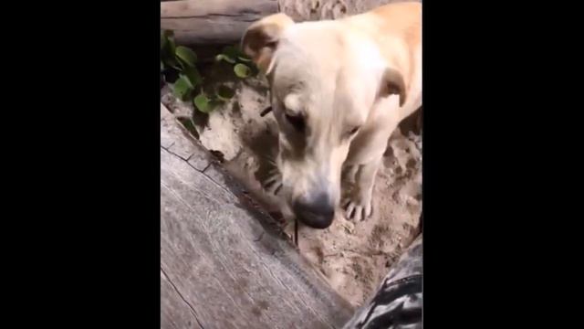 Андрей Черкасов в сторис 19 11 2018 смотреть онлайн