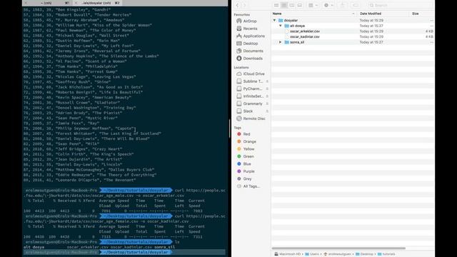 Yakın Kampüs - Shell Scripting -3- Gezinim Komutları 2 (pwd, rm, cp, mv ve curl komutları) смотреть онлайн