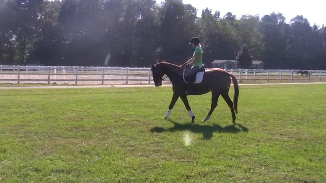 GEORGIA ROSE CANTER смотреть онлайн