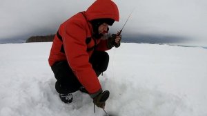 Озерный хариус! Ищу подход.  Зимняя рыбалка, Карелия, Онего.