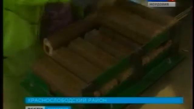 Мордовскими экодровами заинтересовались в Европе смотреть онлайн