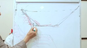 Берега пруда - как сделать надёжно и красиво? Способ укрепления берегов водоёма