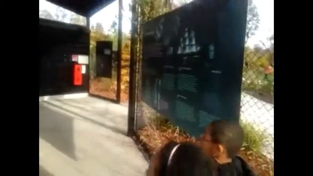 Zoo de Vincennes partie 1 смотреть онлайн