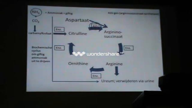 Seminar Boerboel Genetic Research Video 2 смотреть онлайн