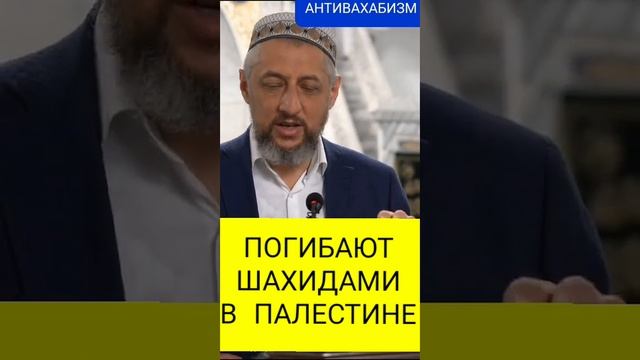 В ПАЛЕСТИНЕ ПОГИБАЮТ ШАХИДАМИ #дагестан #коран #ислам #истина #муфтият_рд #турция #ихсан #таухид смотреть онлайн