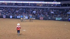 Скачки на необъезженных лошадях