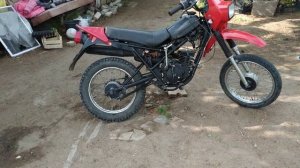 ЗиД   Пилот 50 кубиков