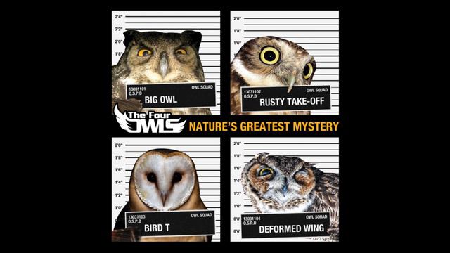 The Four Owls - Send me away смотреть онлайн