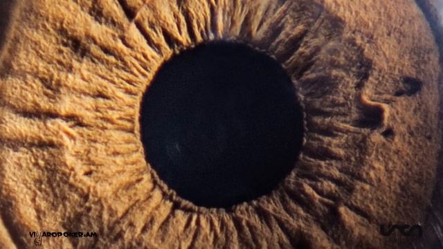 Միշո - հեքիաթներ բաժանողը (18+) || Misho - Heqiatner Bajanogh@ /lyric Video/