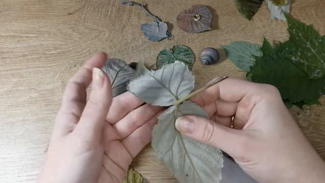 Как заготовить листья для гальванопластики. 2 лучших способа сохранения листьев не в засушенном вид смотреть онлайн